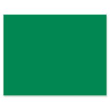 Pacon Peacock 100% Recycled Railroad Board, 22" x 28", 4-Ply, Holiday Green, Carton Of 25 Sheets