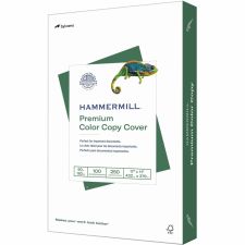 Hammermill Color Card Stock, Photo White, Ledger (11" x 17"), 60 Lb, Pack Of 250