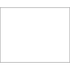Pacon Peacock 100% Recycled Railroad Board, 22" x 28", 4-Ply, White, Pack Of 25