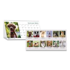 House of Doolittle Earthscapes Recycled Desk Tent Monthly Calendar, Puppies Photography, 8.5 x 4.5, White Sheets, 12-Month (Jan to Dec): 2026