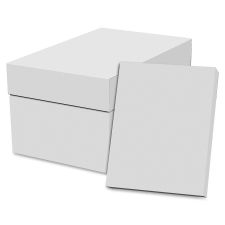 Special Buy Copy Paper - SPZEC851192