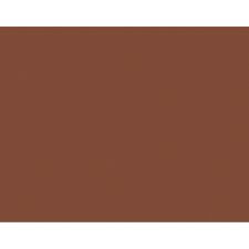 Pacon Peacock 100% Recycled Railroad Board, 22" x 28", 4-Ply, Brown, Pack Of 25 Sheets