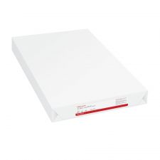 Multi-Use Printer & Copy Paper, White, Ledger (11" x 17"), 500 Sheets Per Ream, 20 Lb, 96 Brightness, 843923ODRM