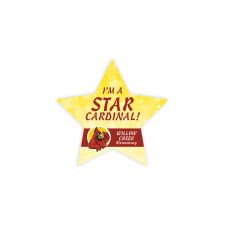 2 3/4" x 2 7/8" Star 4 Color Process (100/PK)
