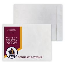 Custom DuPont Tyvek Envelope, 10" x 13" Open End (500/PK)