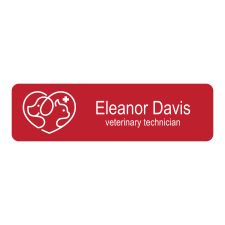 Engraved Plastic Name Badge, 1" x 3 1/2" (1/PK)
