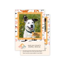 Trading Cards- 2 Sided (50/PK)