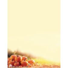 Great Papers! Stationery Letterhead, Glistening, 8.5" x 11", Printer Compatible, 80 sheets
