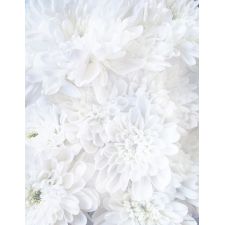 Great Papers! Stationery Letterhead, White Soft Petals, 8.5" x 11", Printer Compatible, 80 sheets