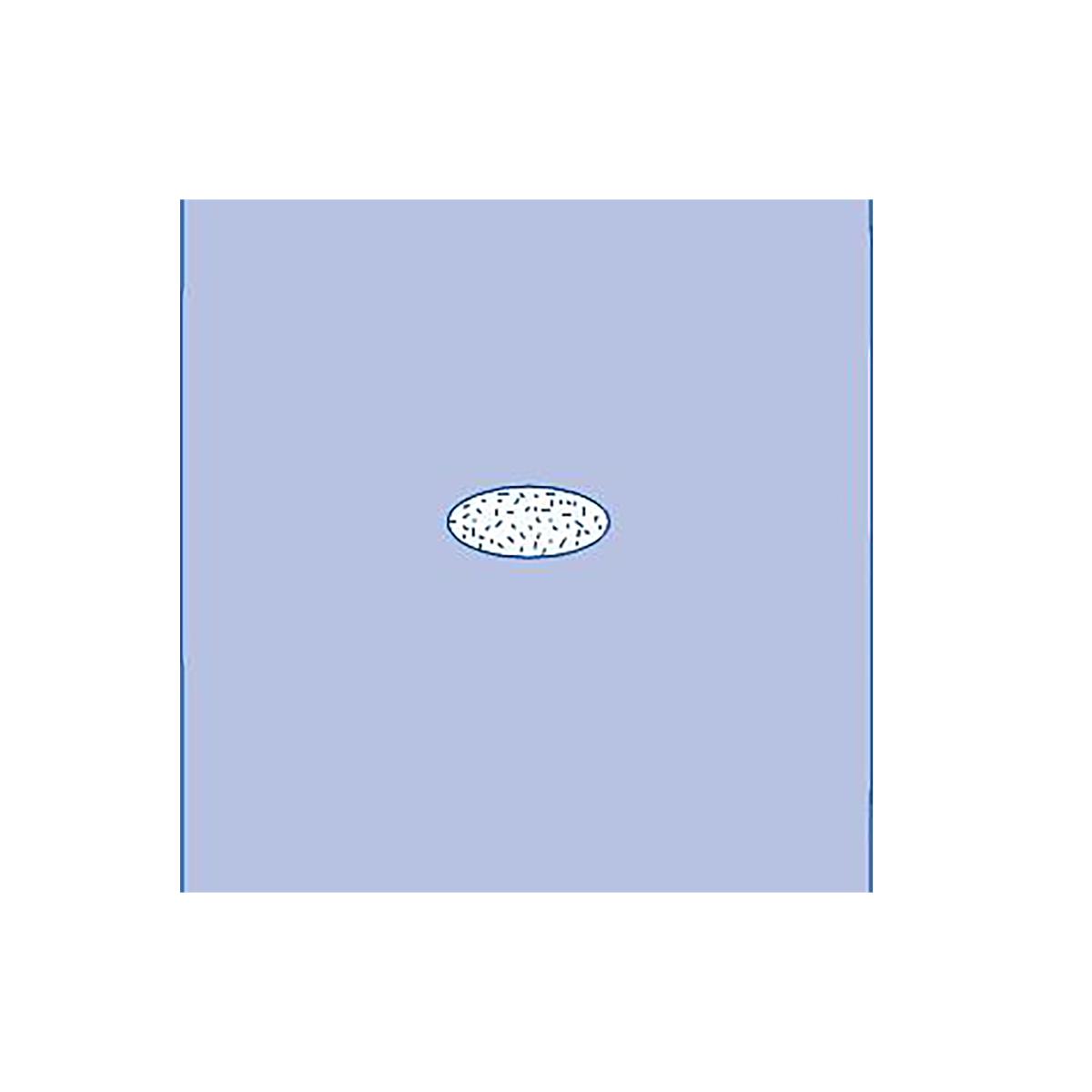 Adherent Window Sheet, Sterile, 41" x 45", 34/CS (DYNJP2493) Case of 34