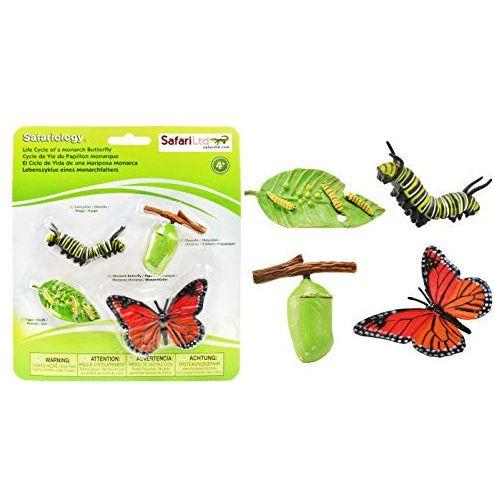 LIFE CYCLE OF A MONARCH BUTTERFLY