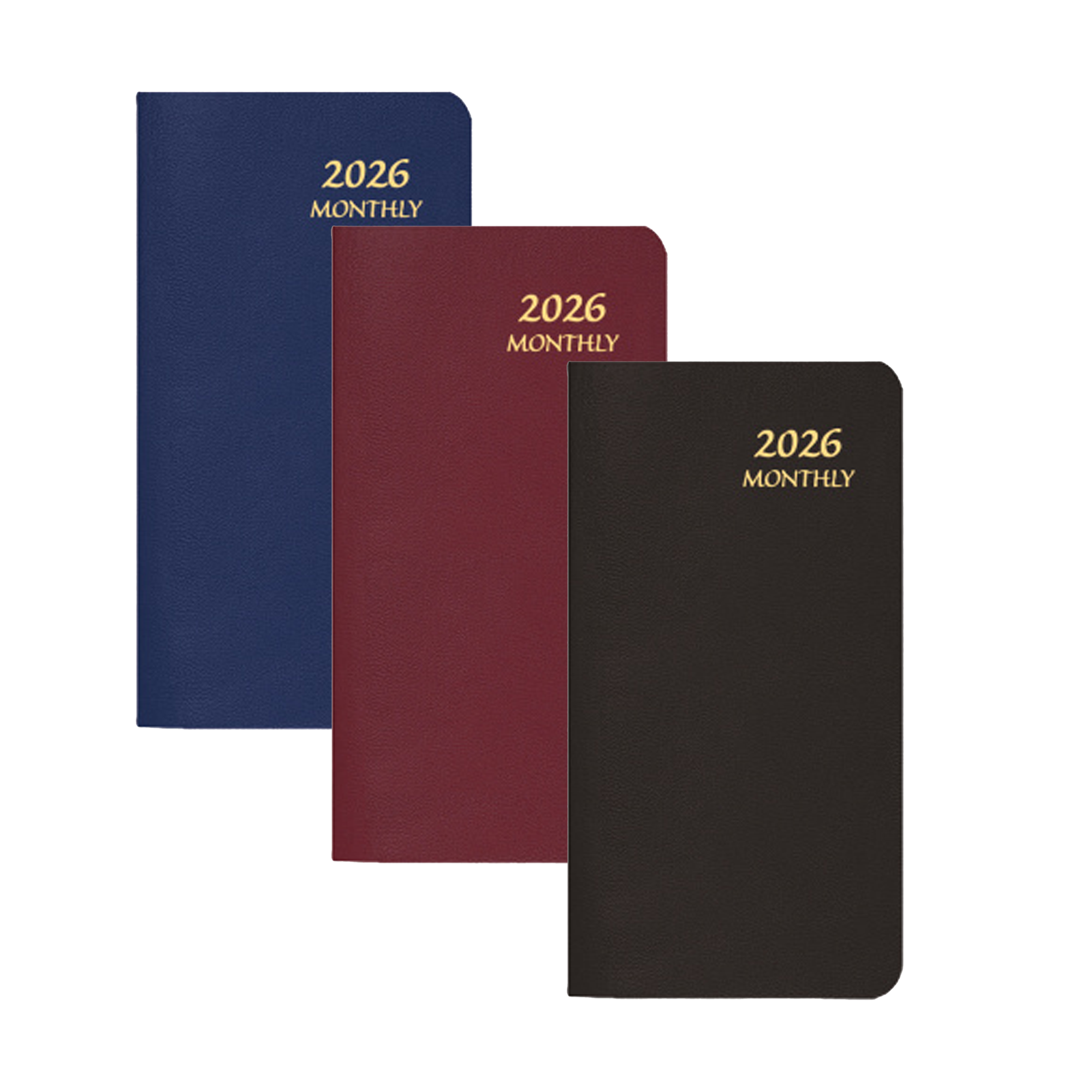 Payne 2026 Pocket Monthly Upright Planner - SkivertexBlack