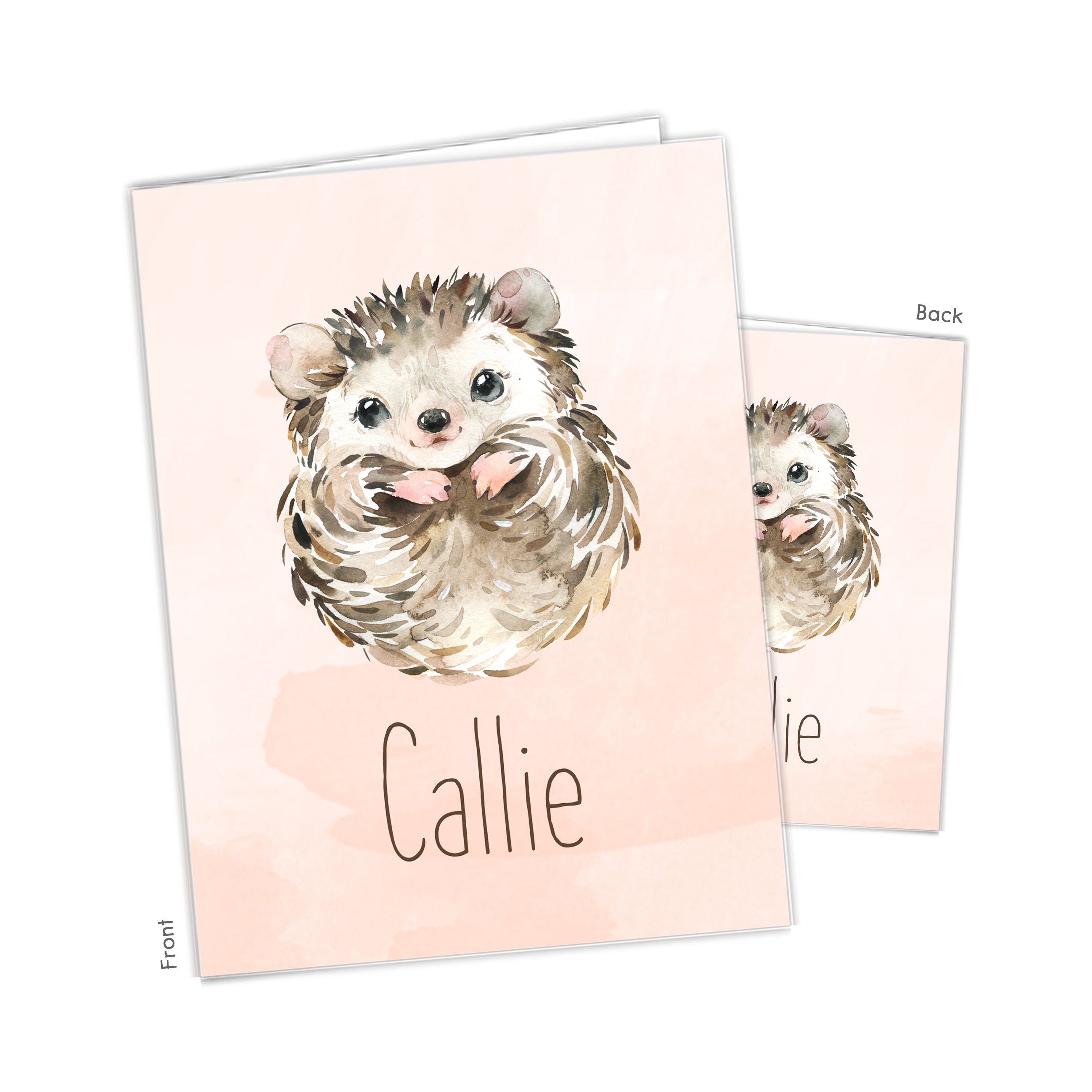Hedgehog Personalized Custom 2-Pocket Folder  School Office Supplies1 - 2Pocket Folder