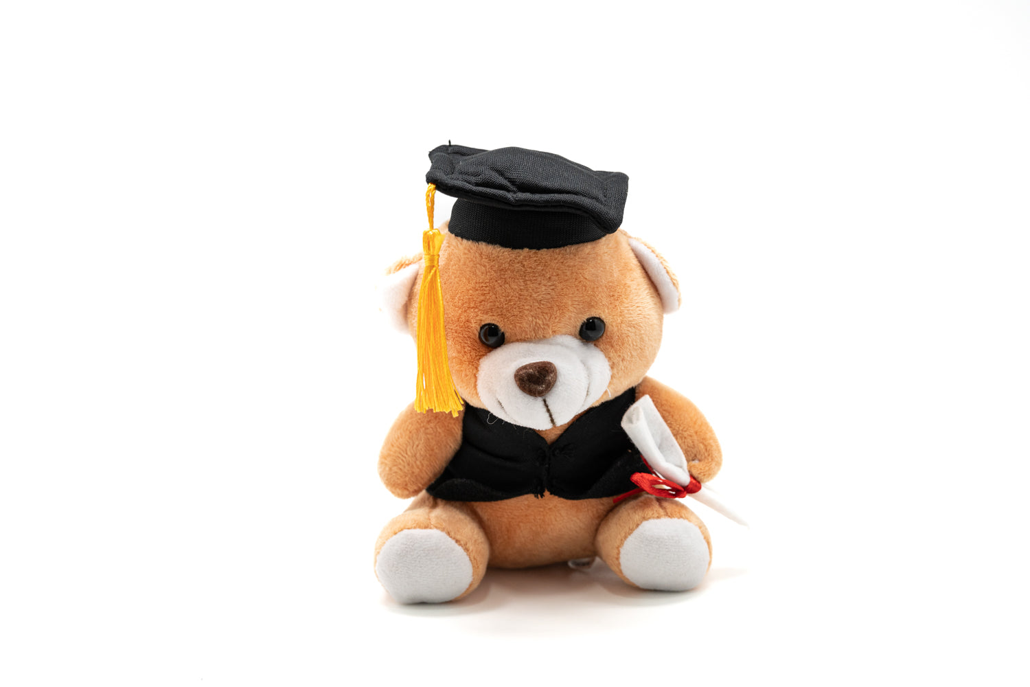 16cm Graduation Soft Bear 1PC (Name Printing)Assorted
