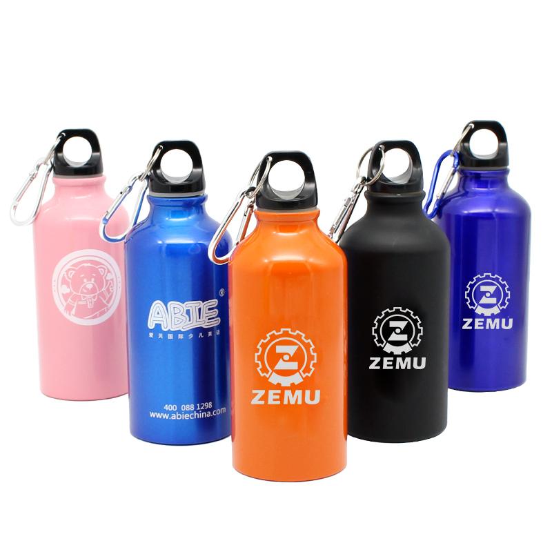 Stainless Steel Drinking Bottle With Narrow Handle And Clip500 