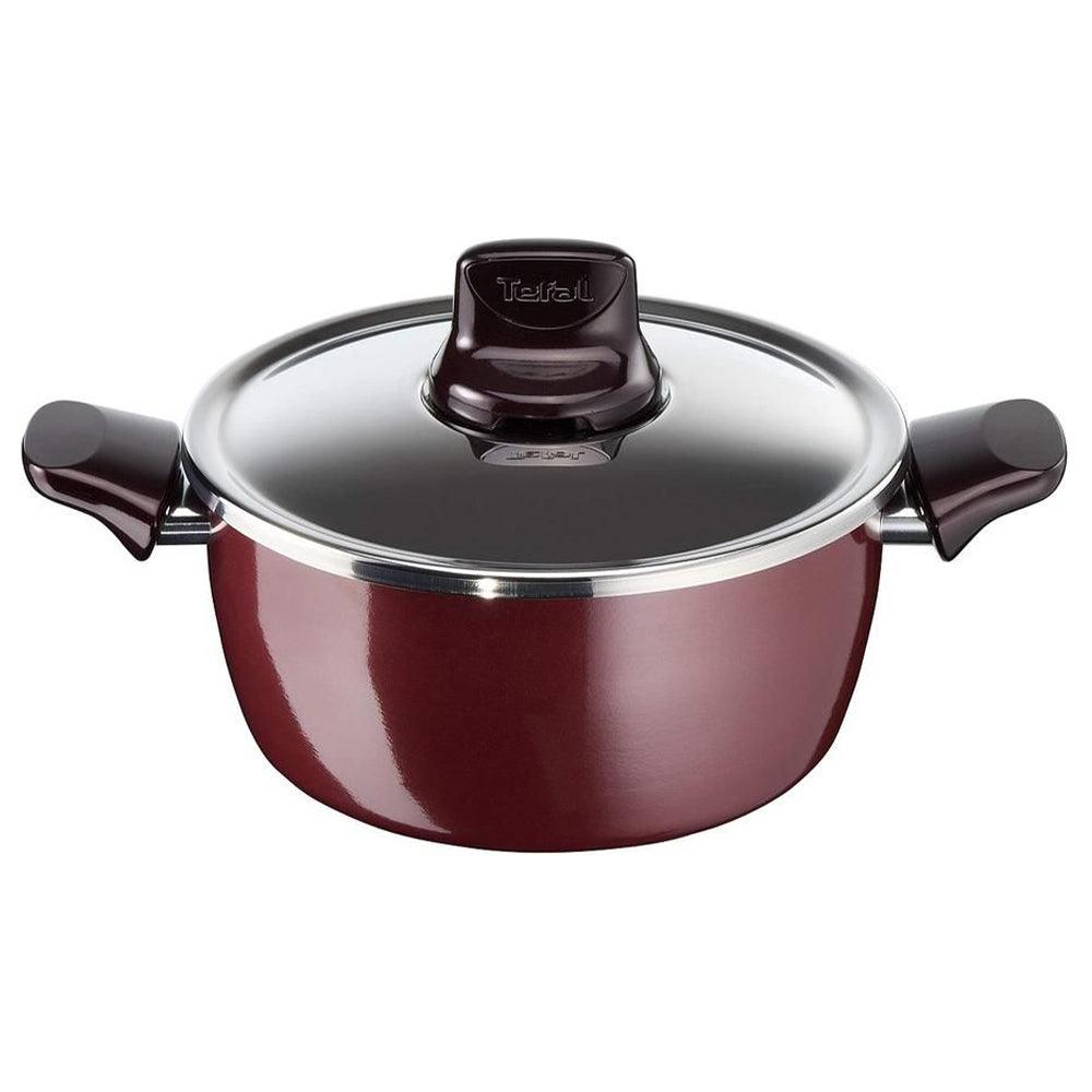 Tefal Pleasure Stewpan 28cm   Stainless Steel Lid / D5025362
