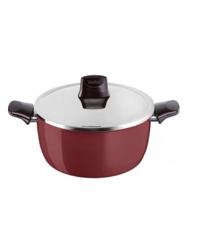 Tefal Pleasure Stewpan 28cm   Stainless Steel Lid / D5055352
